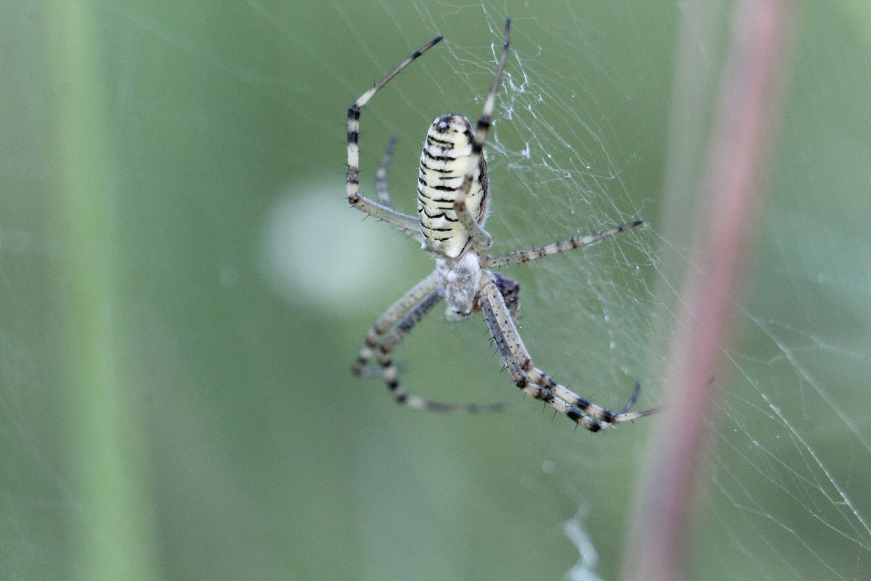Итоги регионального этапа Всероссийского конкурса юных фотолюбителей «Юность России»